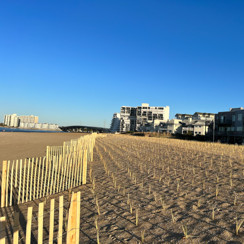 Ocean Park Beach, VA • Sand Fence Installation